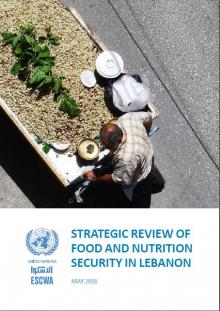 food-security-nutrition-lebanon